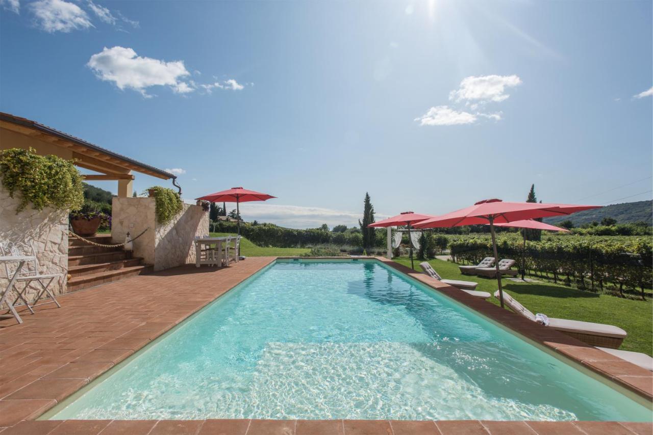 Maso Maroni Agriturismo Quinto di Valpantena Ngoại thất bức ảnh
