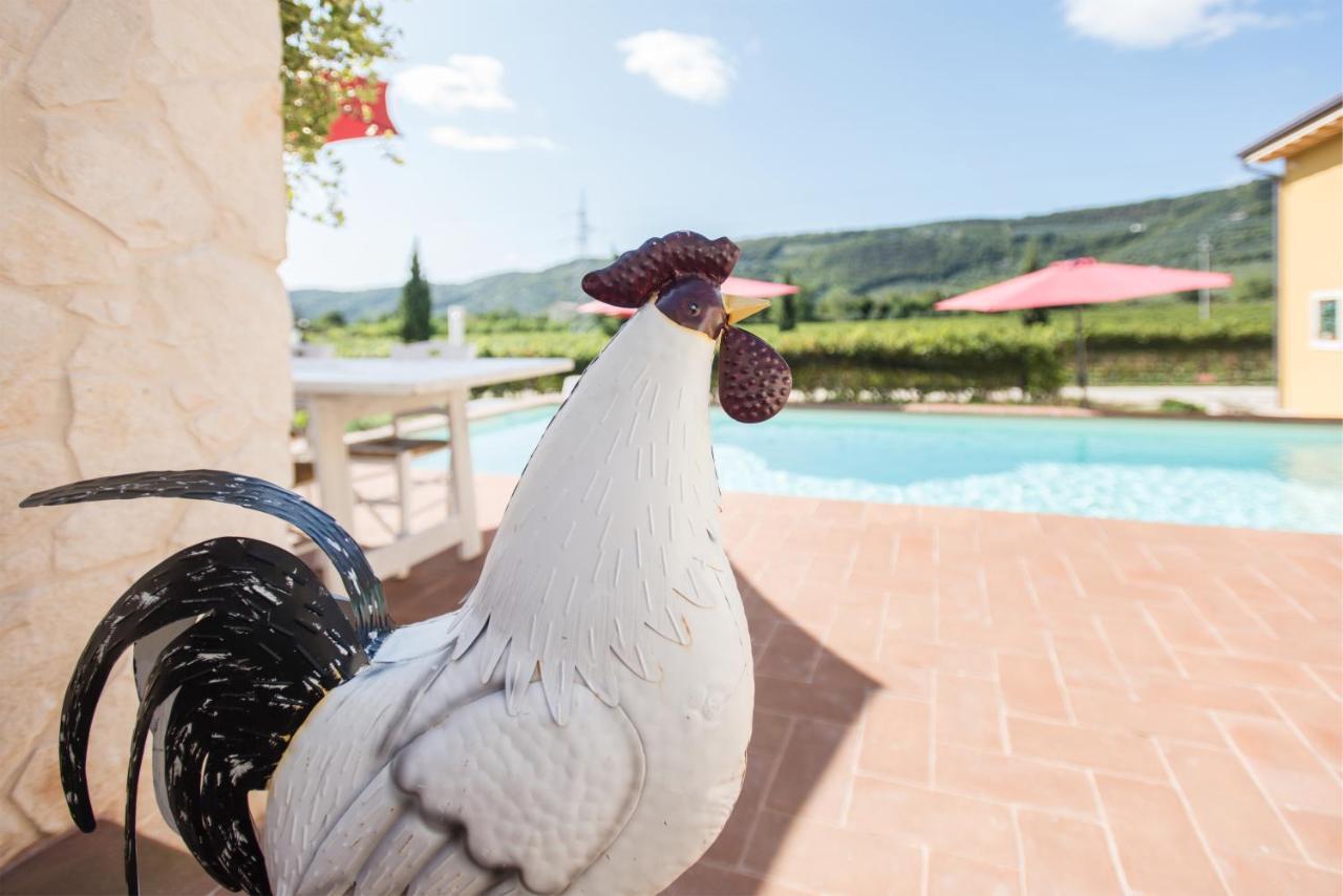 Maso Maroni Agriturismo Quinto di Valpantena Ngoại thất bức ảnh