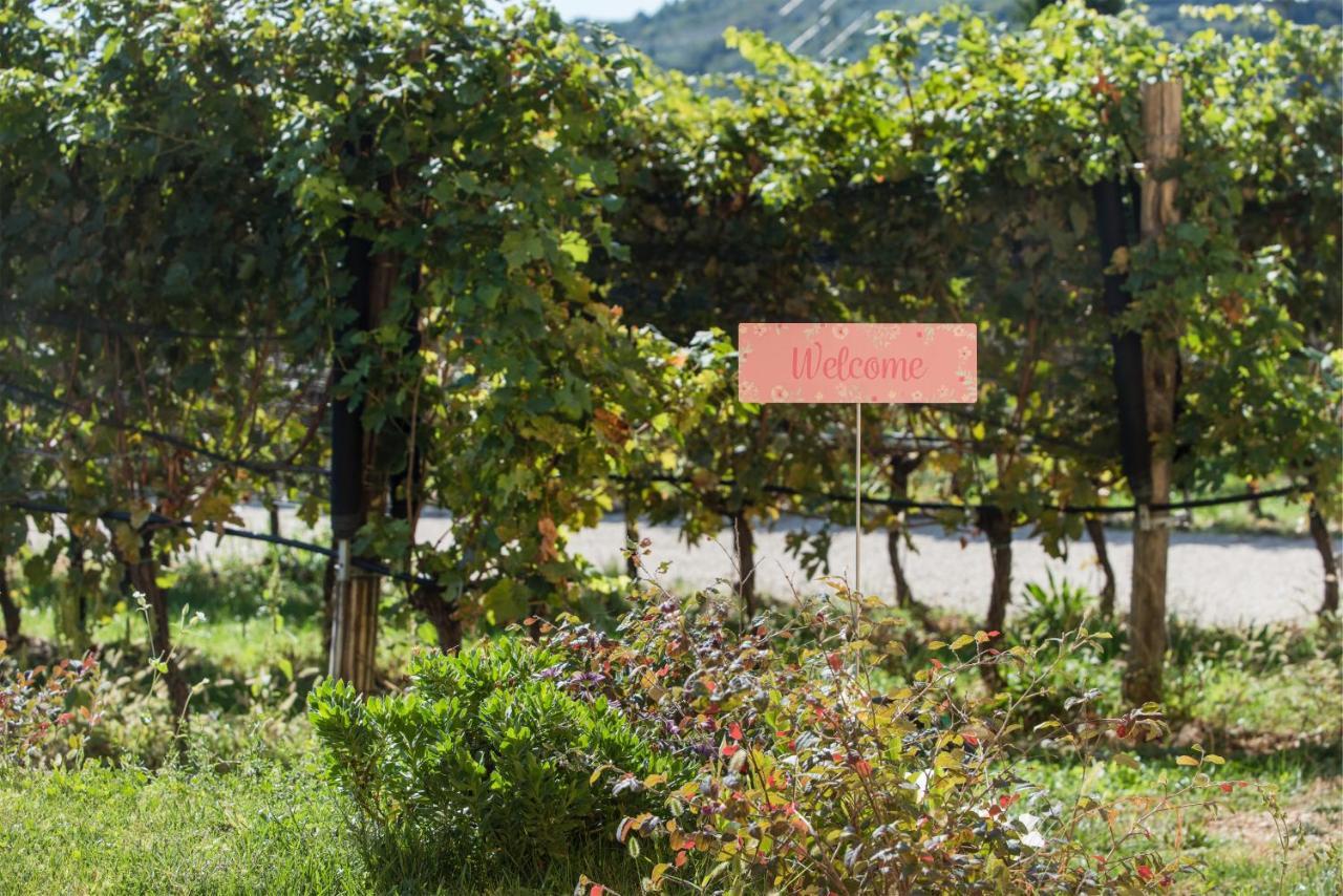 Maso Maroni Agriturismo Quinto di Valpantena Ngoại thất bức ảnh